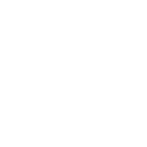 TWINCAM-PRO