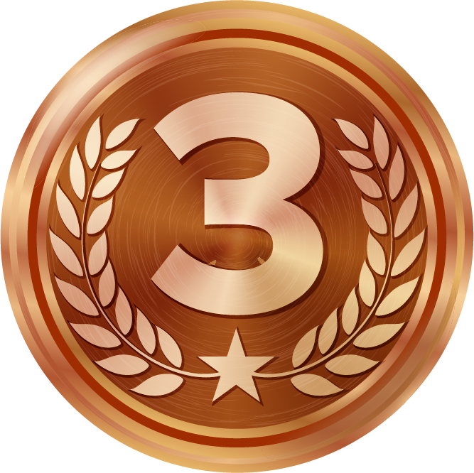 Premio bronce